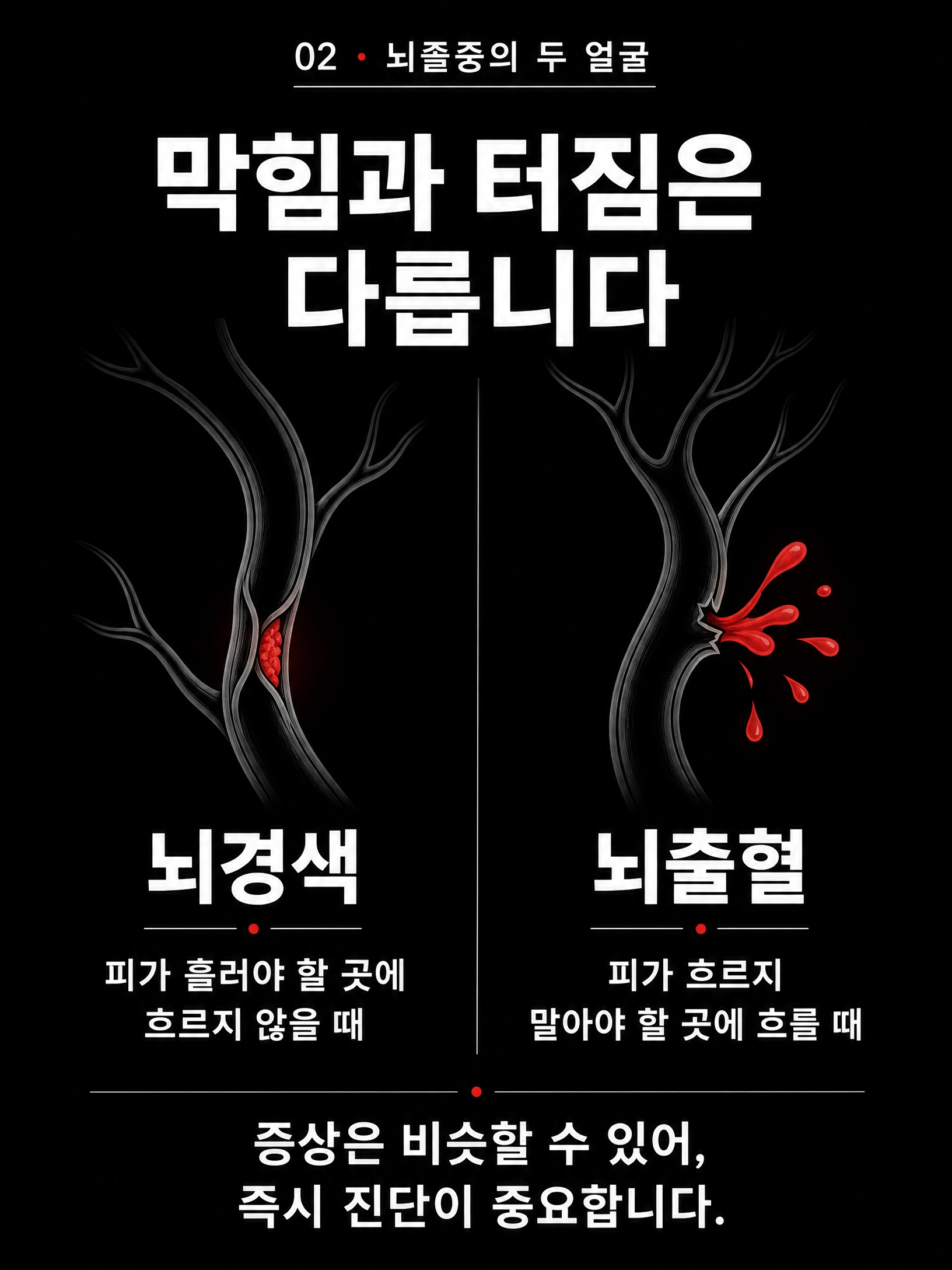 뇌가 멈추기 전에 — 뇌졸중 예방, 오늘의 선택 3/10